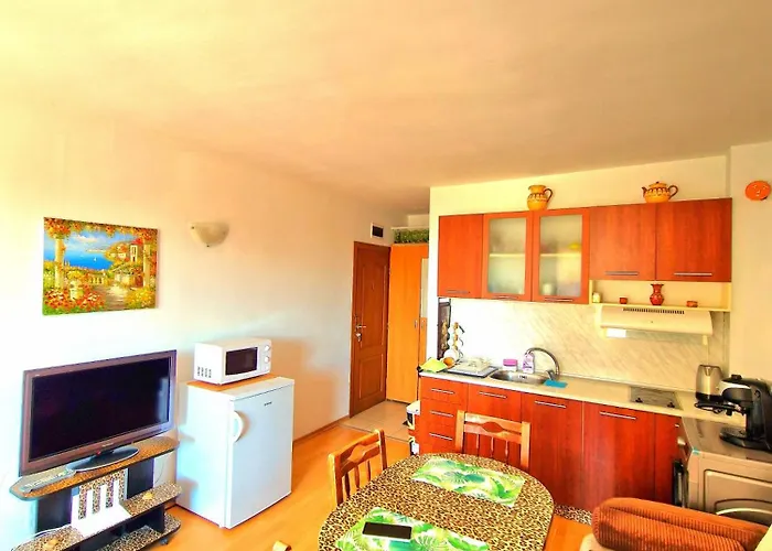 Flat Saint Vlas דירה סבטי ולאס